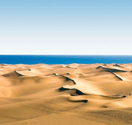 Maspalomas Beach - Beach Tomato