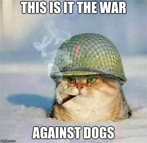 War Cat - Imgflip