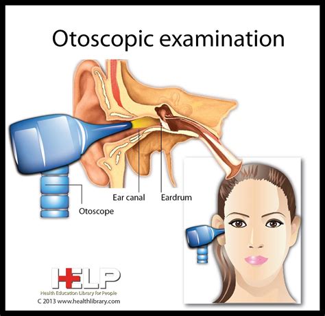 Otoscopic Examination | Anatomi