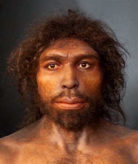 Homo rhodesiensis | Prehistoric man, Ancient humans, Prehistoric