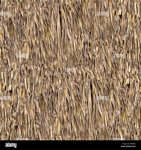 Straw Texture Seamless Find images of seamless texture