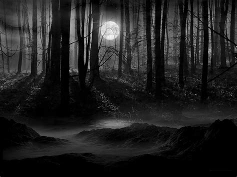 🔥 [30+] Dark Forest With Moon Wallpapers | WallpaperSafari