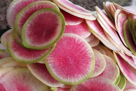 Waltham Fields Community Farm: Radishes - The Season's First Jewels!