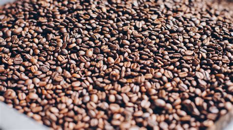 Roasted Coffee Beans Wallpaper - Coffee Bean - 1920x1080 Wallpaper ...