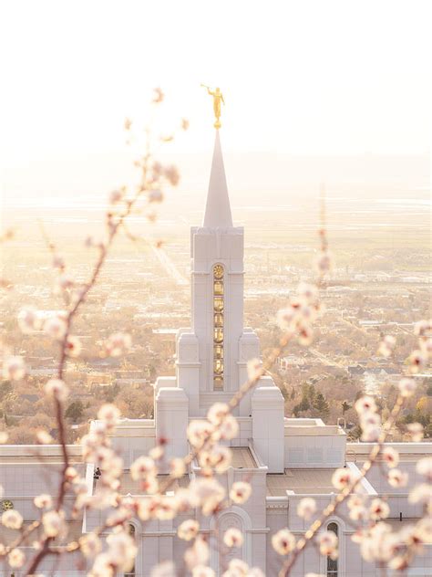 Bountiful Temple Blooms Photograph by Emily Dickey - Pixels