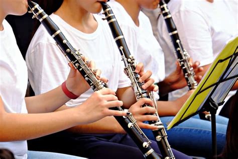 10 Different Types of Clarinets Explained - VerbNow (2022)