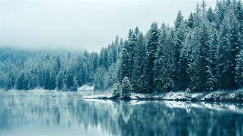 snow Wallpapers HD / Desktop and Mobile Backgrounds