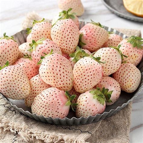 100+White Strawberry Seeds Pineberry Hula berry Alpine berry Container ...