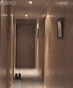 shutting door | Tag | PrimoGIF