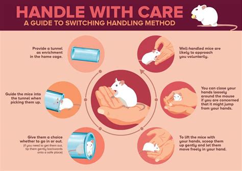 Entry #26 by richardwct for Infographic / poster for animal welfare ...