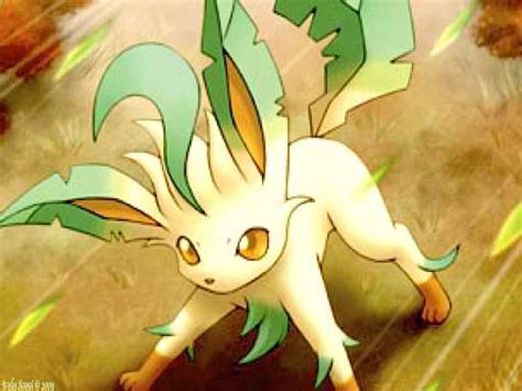 Leafeon - Pokémon Fan Art (28111926) - Fanpop