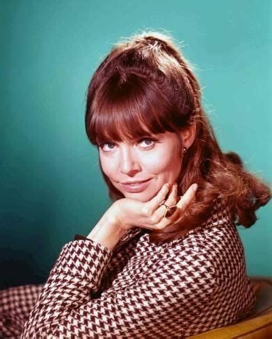 Pin by Maty Cise on Barbara Feldon | Celebrities, Celebrity dads, Classic hollywood