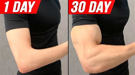 Get Bigger Arms In 30 DAYS! ( Home Workout )