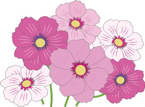 Pink And White Flowers - Openclipart