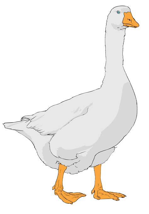 cute goose clipart 10 free Cliparts | Download images on Clipground 2024