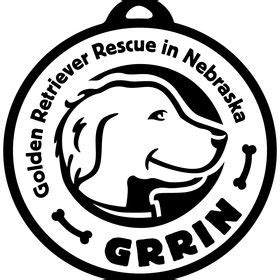 Golden Retriever Rescue in Nebraska (admin1288) - Profile | Pinterest