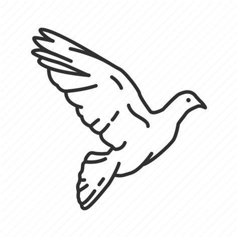 Animal, bird, christian dove, dove, holy spirit, purity, religion icon