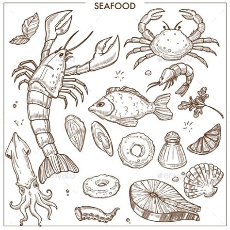 Seafood and Fresh Fish Sketch Icons Vector Set | Fish sketch, Sketch icon, Nautical drawing