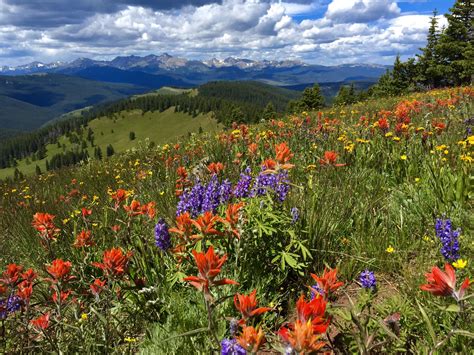 Summer in Colorado : r/Colorado