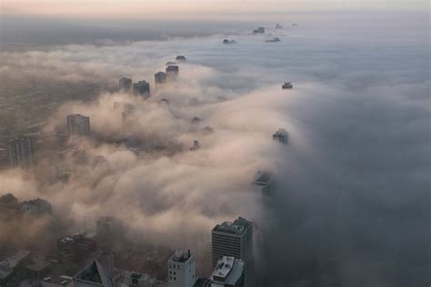 THE LIFE NEUROTIC WITH STEVE'S ISSUES - advection fog over chicago, formed as warm, moist...