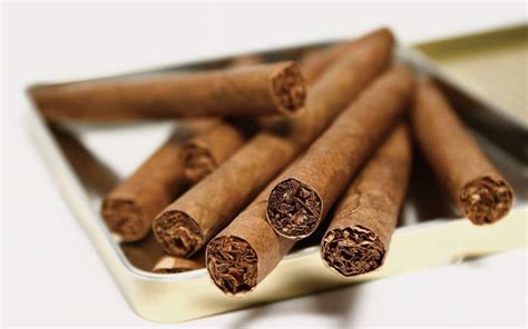 Blog: Cigars Vs. Cigarillos: What Are Differences?