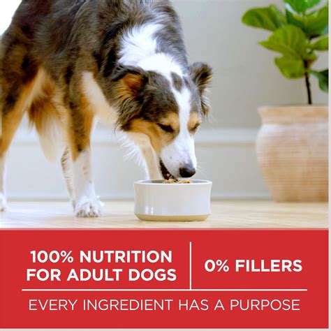 Purina ONE SmartBlend Chicken & Rice Adult Formula Dry Dog Food, 31.1 ...