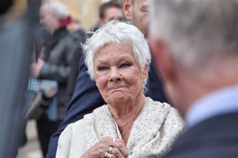 Judi Dench fired agent after theme park plunge