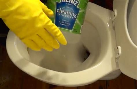 CLEANING TOILET WITH VINEGAR http://americanoverlook.com/video-she-pours-out-a-gallon-of-vinegar ...