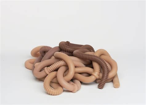 8 Artists Using Silicone to Create Strange, Radical Artworks | Artsy | Artist, Artsy, Artwork