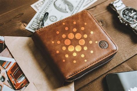 A Guide on Cardano Wallets | AdaPulse