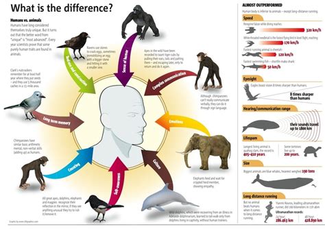 Difference | Animal infographic, Science infographics, Infographic