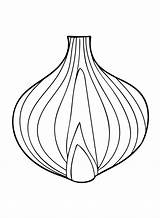 Onion Printable Coloring Page  Free Pages sketch template