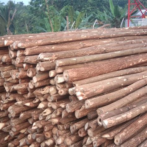 Jual kayu dolken proyek diameter 5/7 panjang 4 m - Jakarta Pusat - Kayu kaso balok bambu papan ...