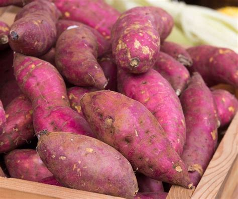 How To Grow Purple Yam In Container? - Grower Today