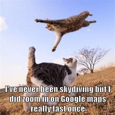 Skydiving - Lolcats - lol | cat memes | funny cats | funny cat pictures with words on them ...