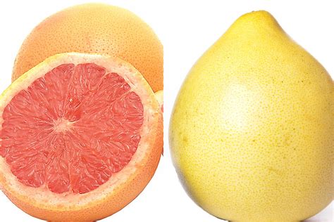 Pomelo vs. grapefruit. Cât de asemănătoare sunt și prin ce se deosebesc | TeMănânc.ro