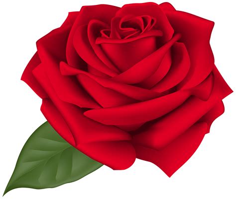 Red Rose Png Clipart Red Rose Png Ros 233 Png Red Roses - Riset