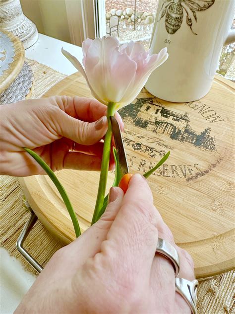 How To Make Tulips Last Longer (Tips from a Florist) - Celebrated Nest