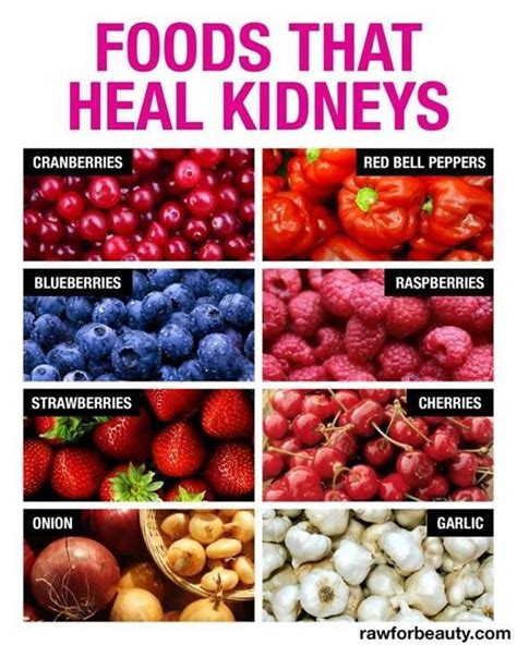 18 best Low Potassium Diet images on Pinterest | Kidney failure, Kidney health and Kidney recipes