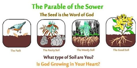 THE PARABLE OF THE SOWER in 2020 | Parables, Bible study topics, Bible study