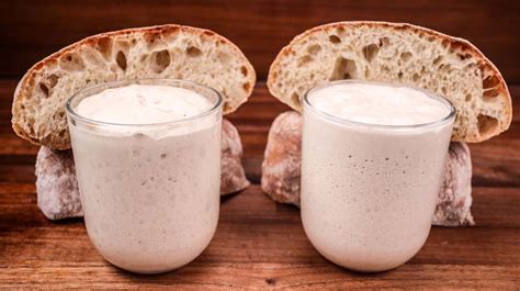 Sourdough vs Yeast | Can You Get Comparable Results? - ChainBaker