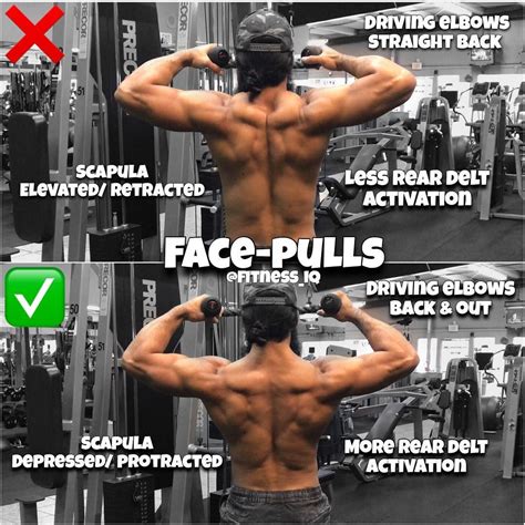 How to FACE-PULLS | Face pull exercise, Face pulls, Exercise