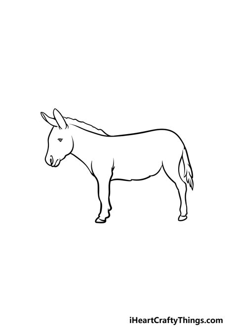 Donkey Drawing - How To Draw A Donkey Step By Step