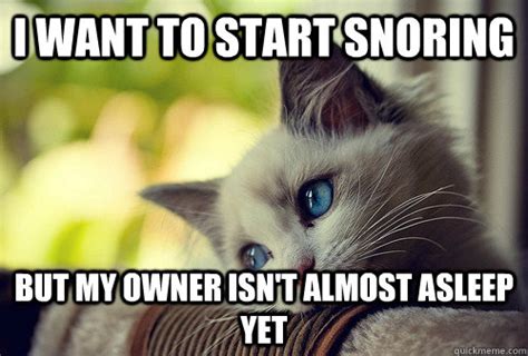 I want to start snoring But my owner isn't almost asleep yet - First World Cat Problems - quickmeme