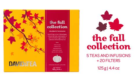 Favorite Things Friday: Taking #SelfTeas with DAVIDsTEA Fall Collection ...