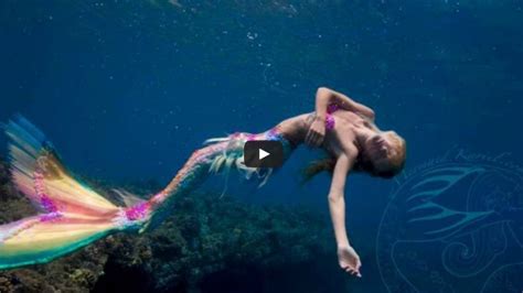 Free download Real Mermaids Found Alive Swimming Mermaids Pictures Real ...