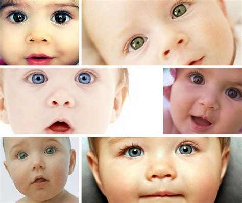 how to choose your babys eye color eye color chart eye color color ...