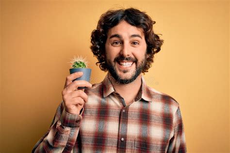 Young Man with Curly Hair and Beard Holding Small Cactus Plant Pot Over Yellow Background with a ...