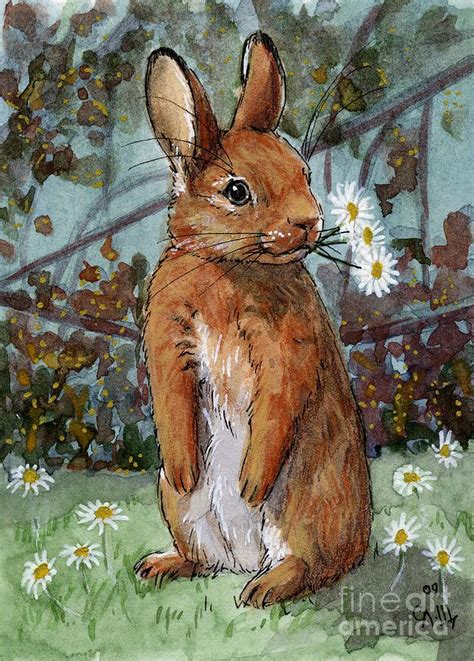 ale dneva | Rabbit painting, Bunny painting, Bunny art