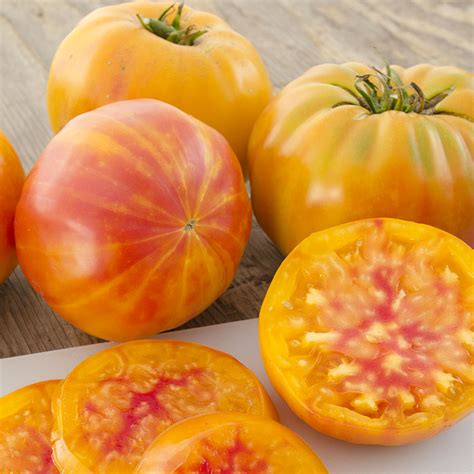 Craft Supplies & Tools VTH BIG RAINBOW Tomato~Seeds!!~~~~~Multi-Colored Heirloom! Gardening ...